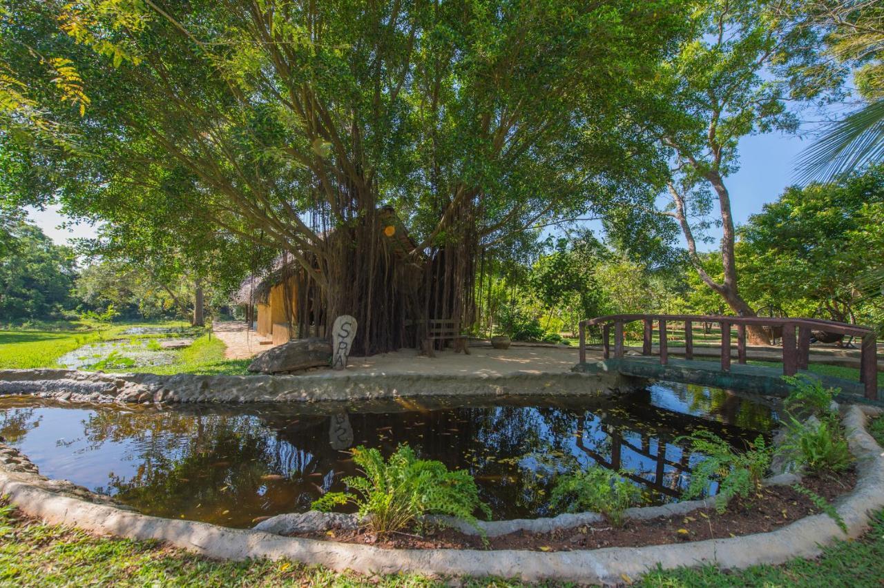 فندق Kalu'S Hideaway اوداوالاوي المظهر الخارجي الصورة